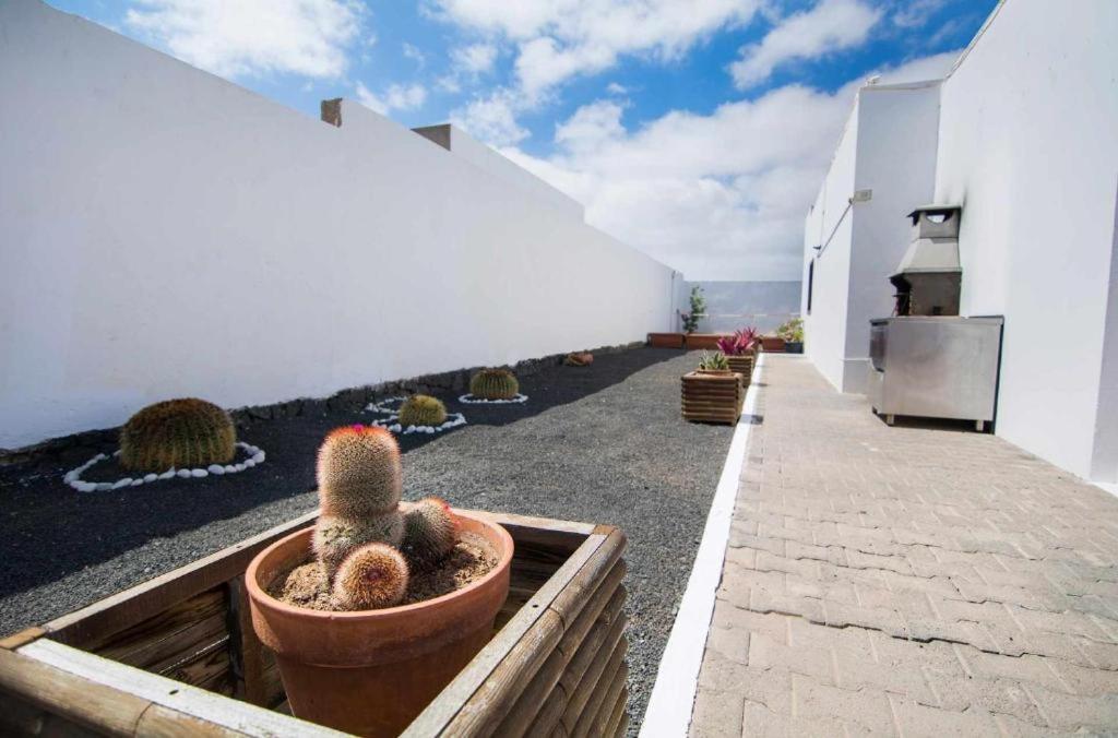 Baroli Villa Nepal. Jardín y piscina privada. Playa Blanca  Exterior foto